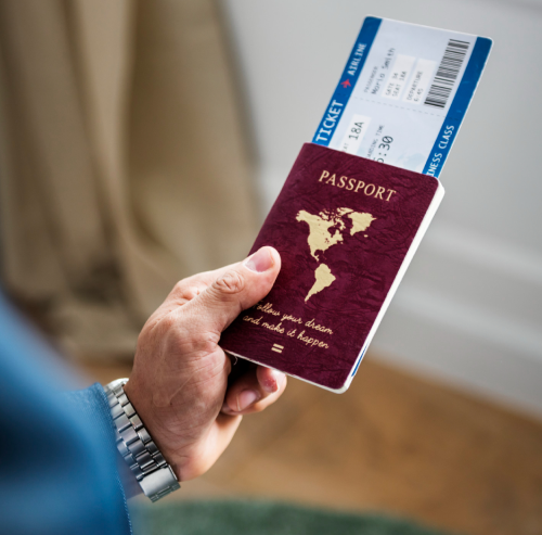 Immigration consultation